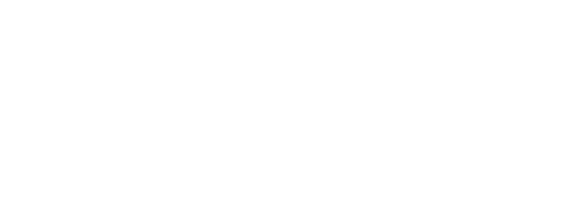 WSAA Logo White