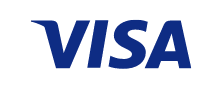 Sponsored Visa logo