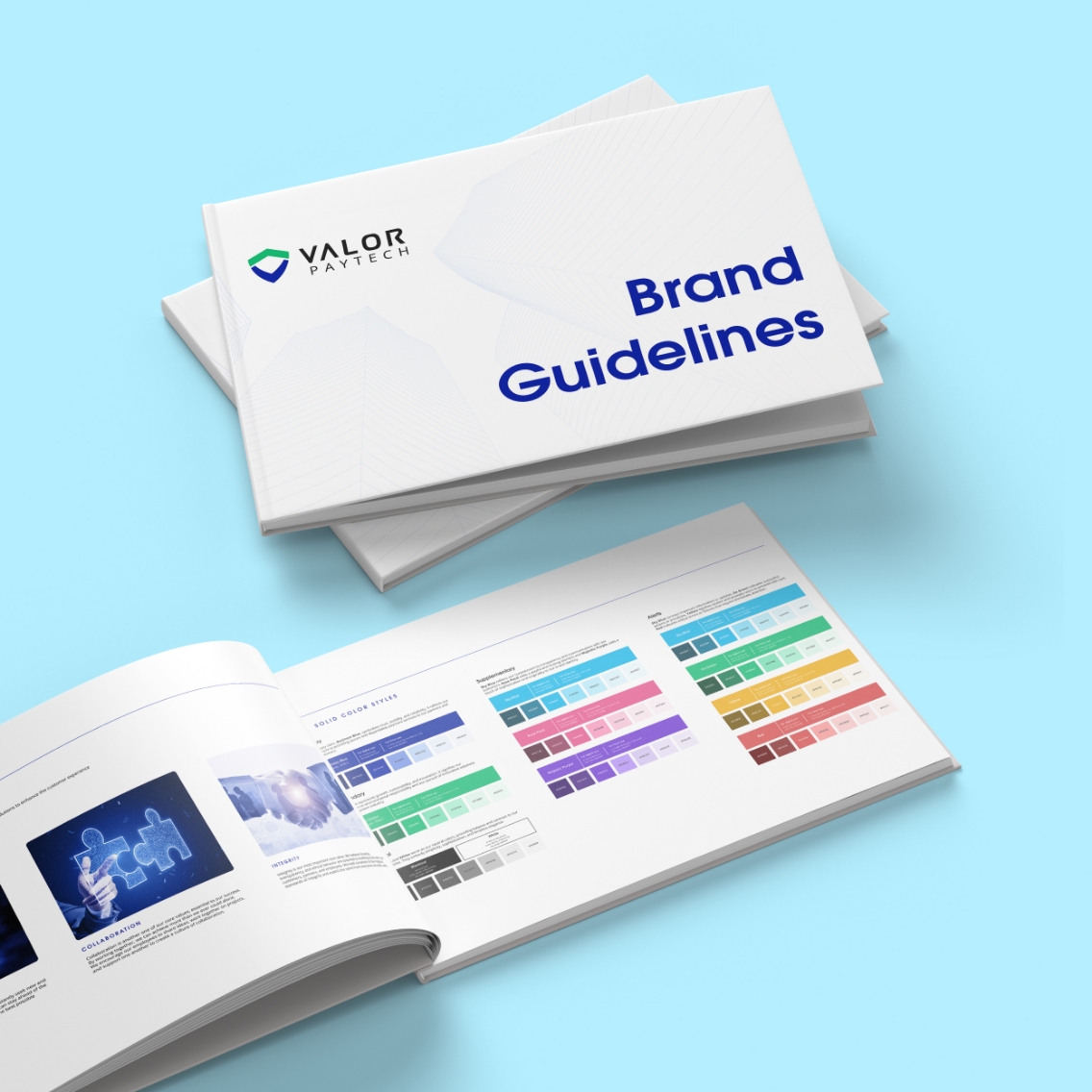 Brand Guidelines BG logo