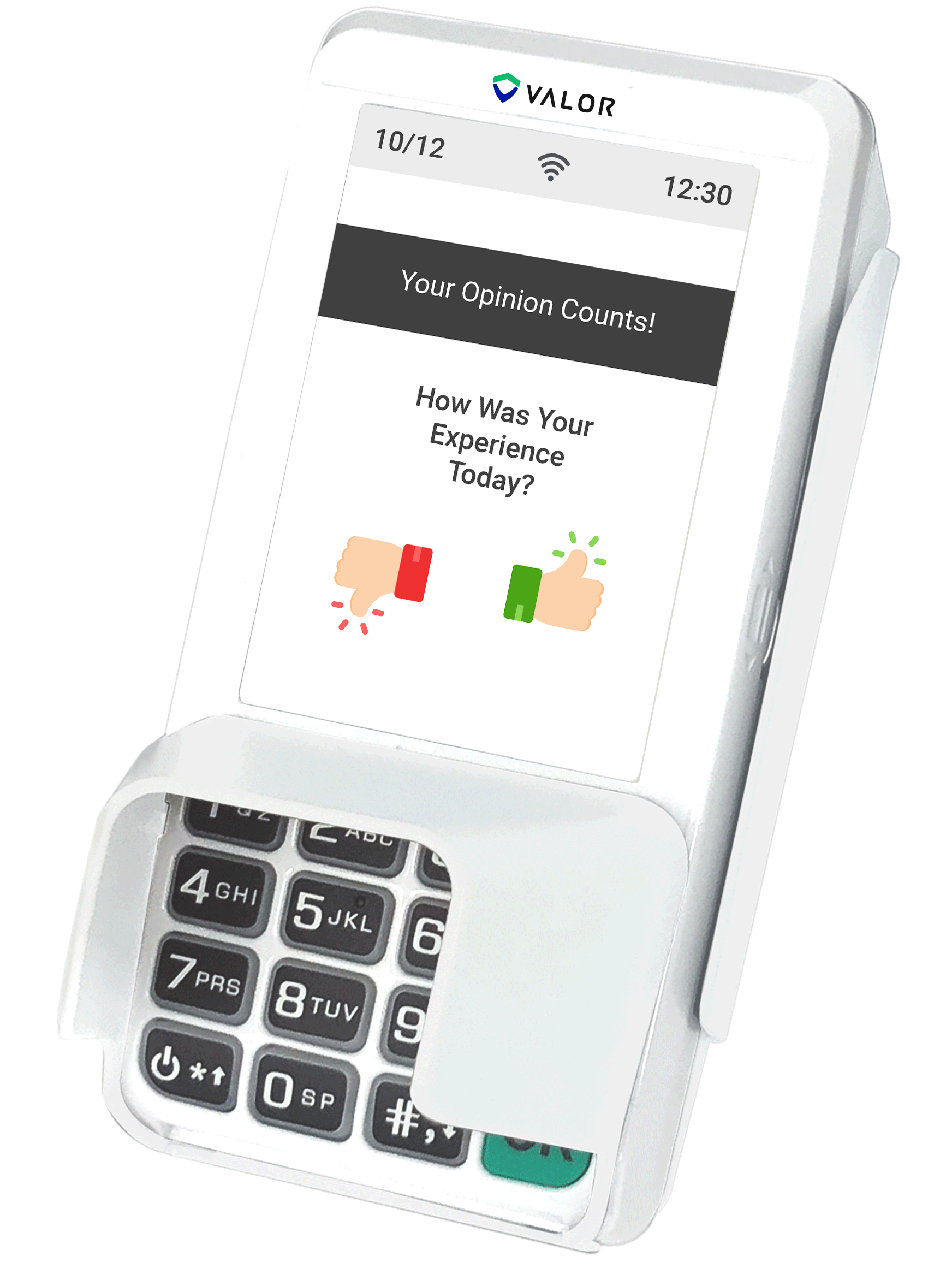 VL300 standalone PIN pad payment terminal